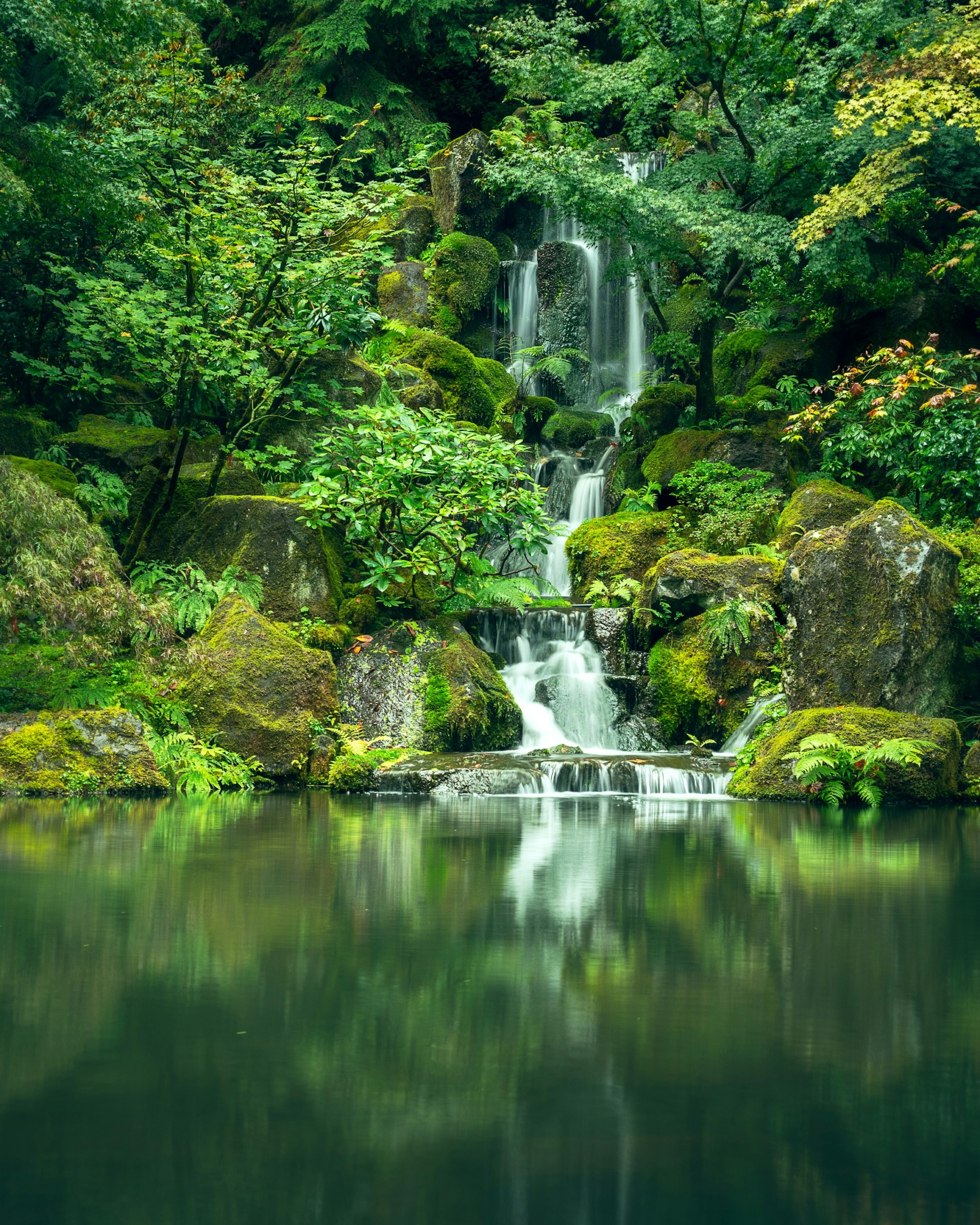 Flow Waterfall Green Life