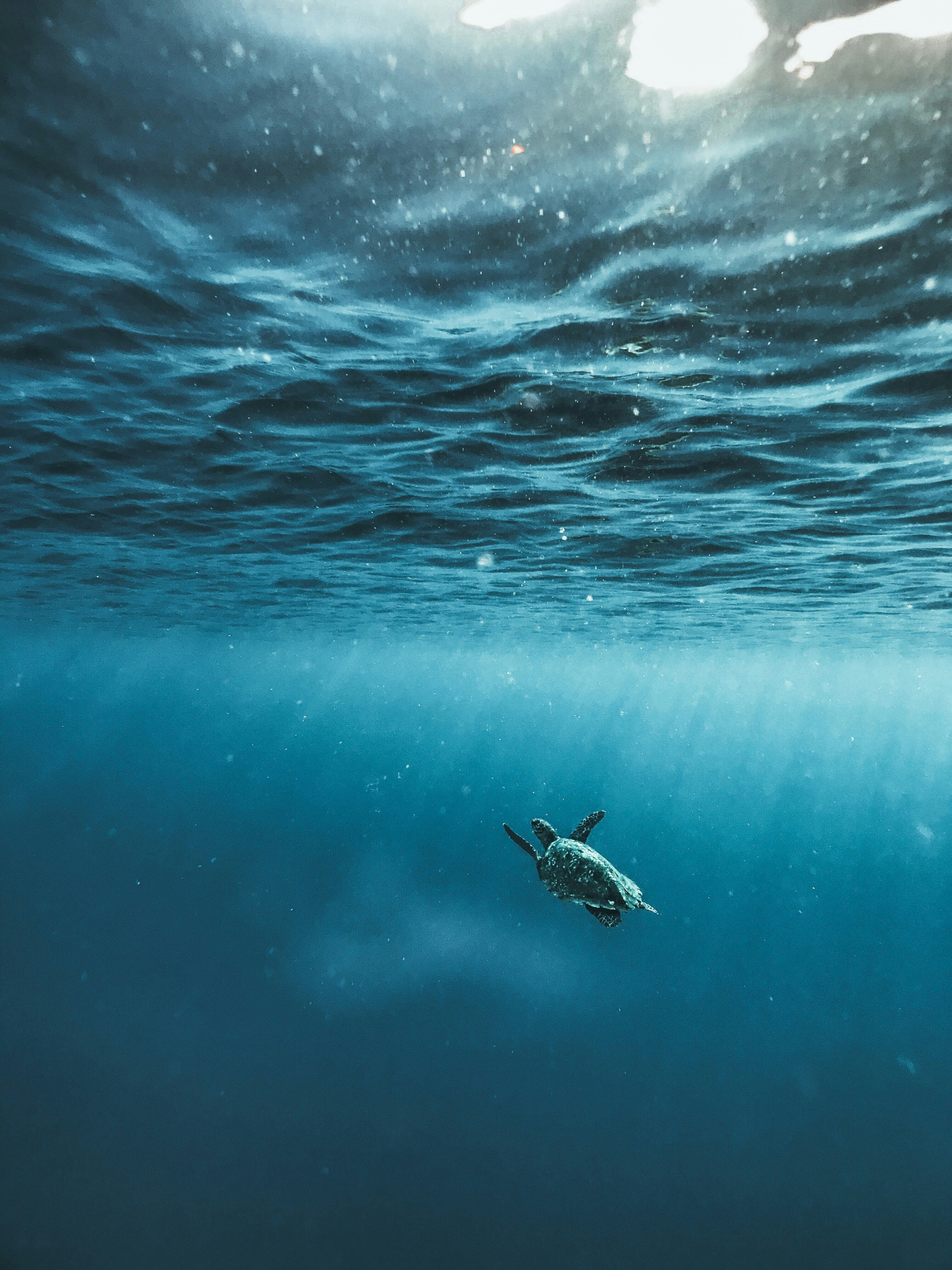 Underwater